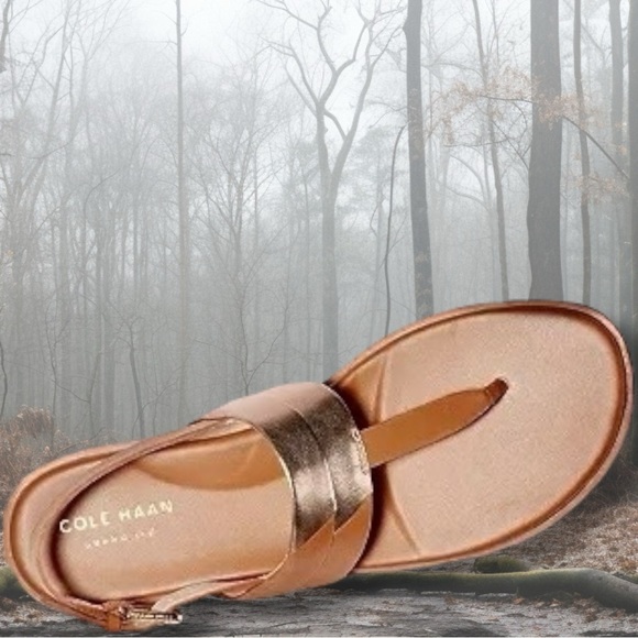 Cole Haan ‘Ainsley Grand T-Strap Sandals’ in Tan & Gold Metallic Leather Size 7 - Picture 4 of 16